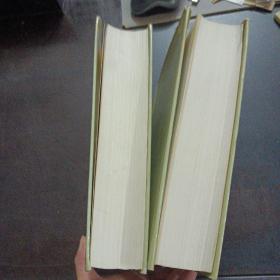 辞海 上中，2册合售,3.9kg——s3