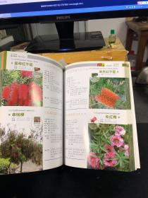 观花植物1000种经典图鉴（超值白金版）