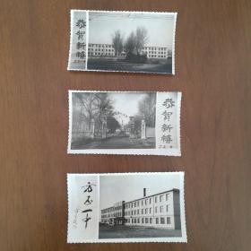 方正一中  明信片  贺年卡 1986年