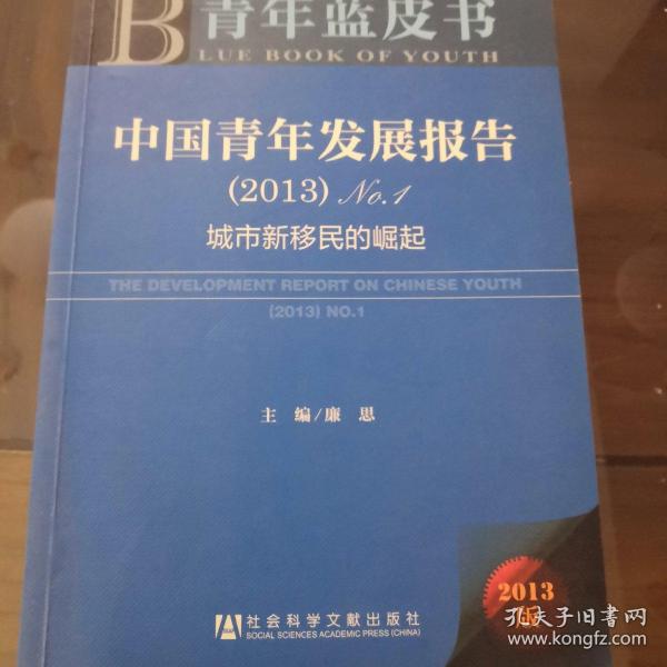 中国青年发展报告. （2013）No.1：城市新移民的崛起