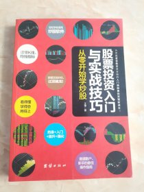 股票投资入门与实战技巧：从零开始学炒股