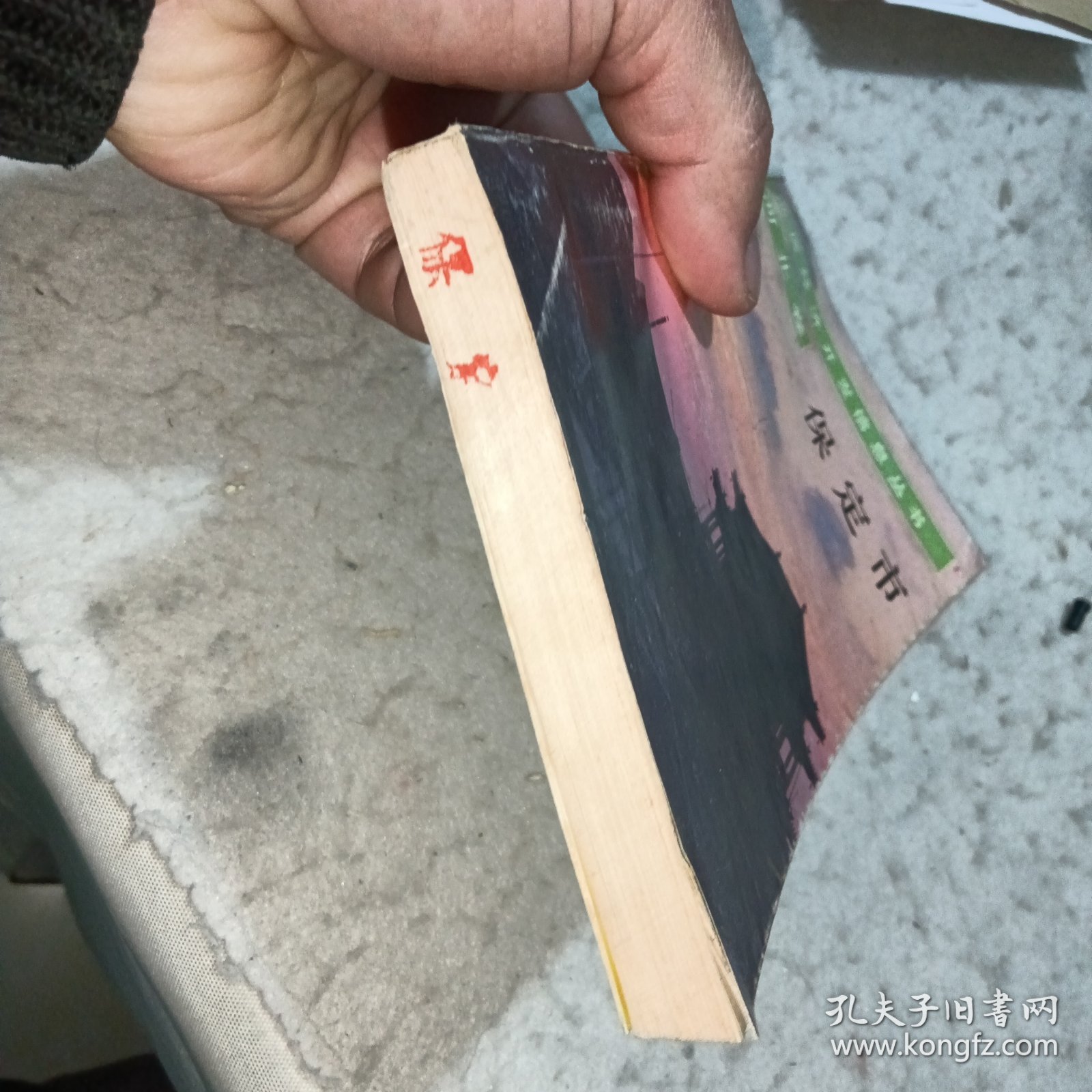 地区经济开发信息丛书•保定市