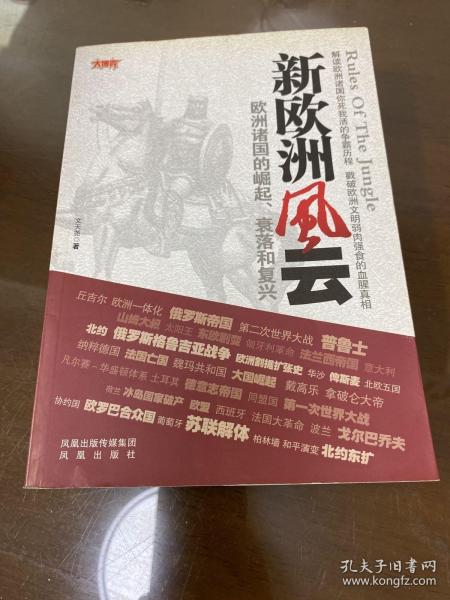 欧洲新战场全传：新欧洲风云（欧洲诸国的崛起、衰落和复兴）