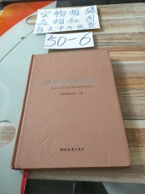 湖南地质百年