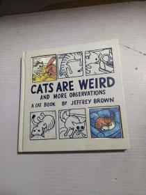 Cats Are Weird：And More Observations