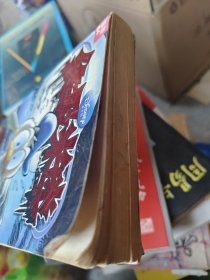 终极米迷口袋书超厚版：幽灵传说