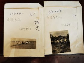 1965年，南陵县弋江公社社员观察作物长势，，给秧田运送肥料，老照片两张（211205）