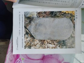 淅川县盛湾镇瓦房，大路，陈家沟，香北村分支--姚氏族谱