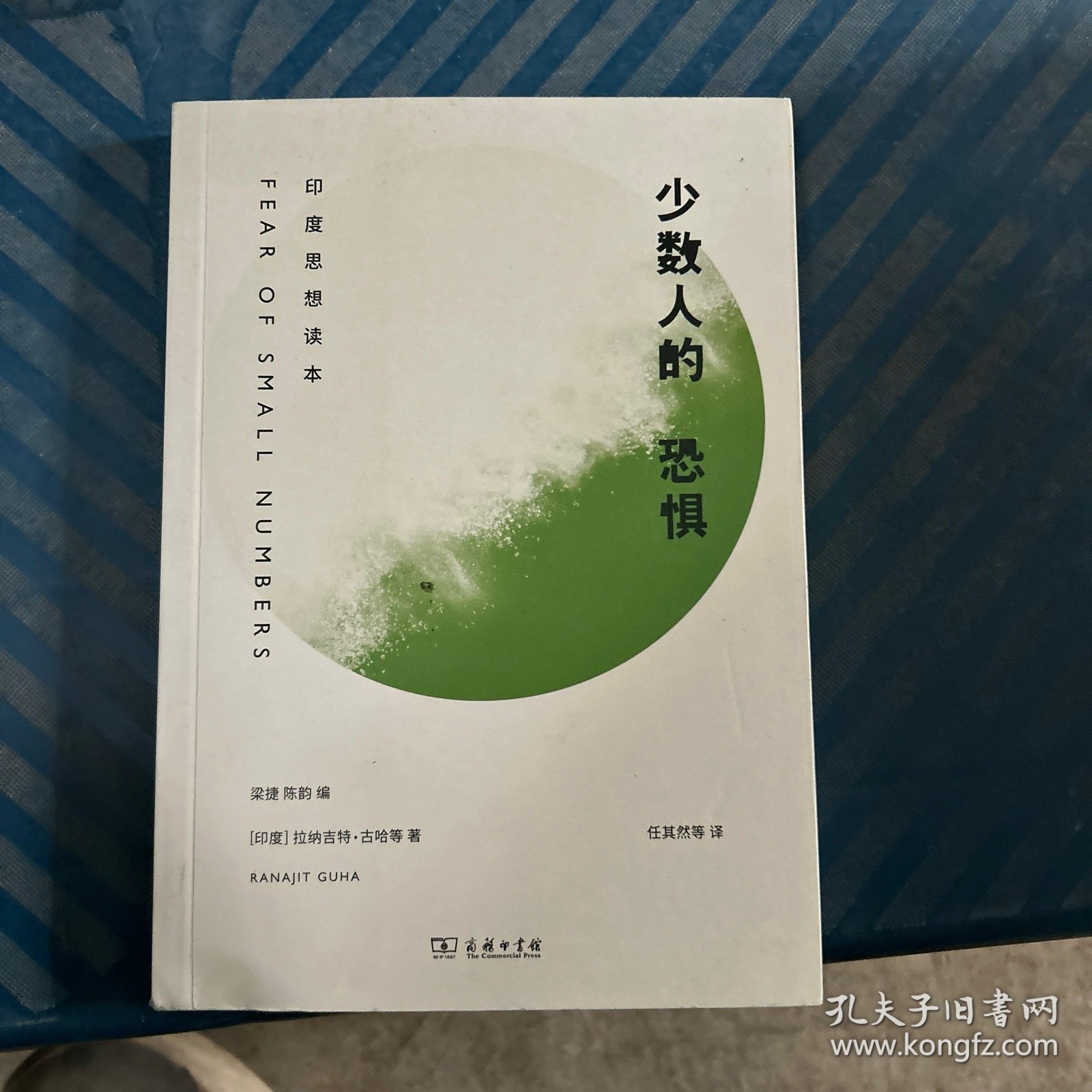 少数人的恐惧：印度思想读本