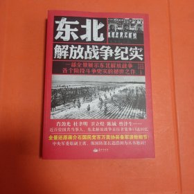 东北解放战争纪实