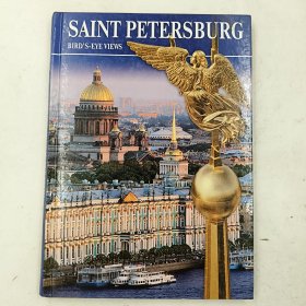 Saint Petersburg 空中看圣彼得堡