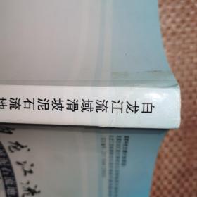 白龙江流域滑坡泥石流地质灾害与风险分析