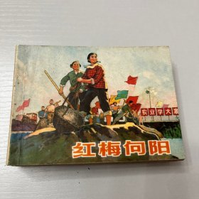 连环画（红梅向阳）