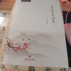 黄铁男自选集 上