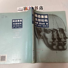 动态素描·头部结构