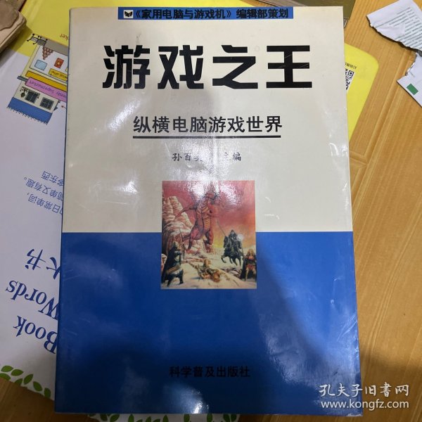 游戏之王：纵横电脑游戏世界