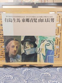 日本近代西洋画史上的乡土作家们 有岛生马 东乡青儿 山口长男 大开本