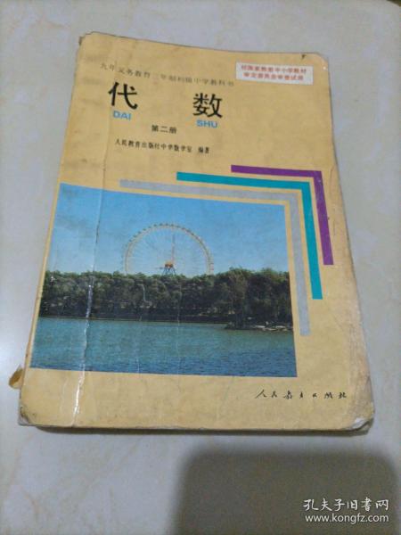 初中代数(3)