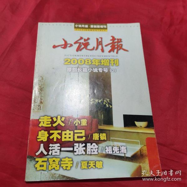 小说月报2008年增刊