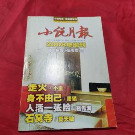 小说月报2008年增刊