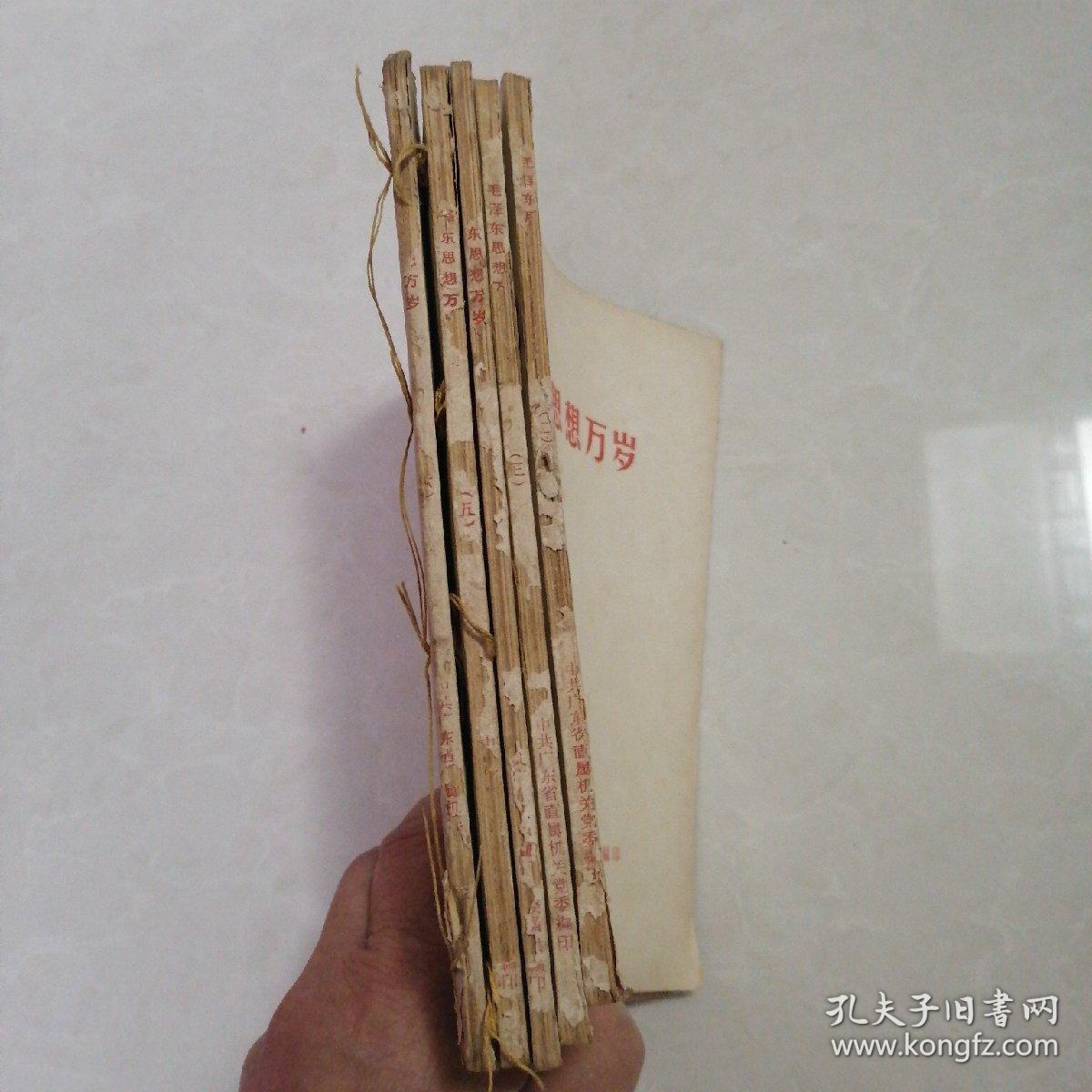 毛泽东思想万岁（2-6）