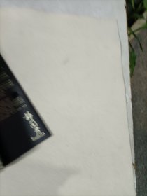 中国第一位国际巨星的生命传奇 梅兰芳 1DVD