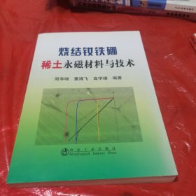 烧结钕铁硼稀土永磁材料与技术