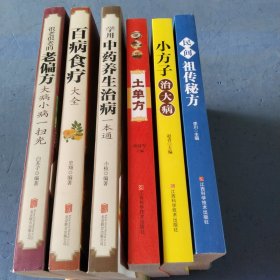 民间祖传秘方 中医书籍养生偏方大全民间老偏方美容养颜常见病防治 保健食疗偏方秘方大全小偏方老偏方中医健康养生保健疗法