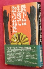 价可议 陛下 生 胜 组 记录 nmmqjmqj 陛下は生きておられた ブラジル胜ち组の记录