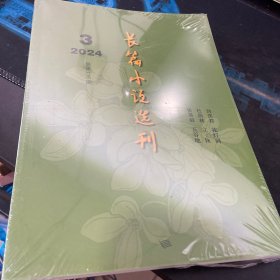 长篇小说选刊2024 3