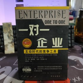 一对一企业.互动时代的竞争工具（一版一印）