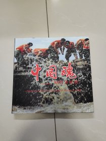 中国魂：98抗洪纪实（库存书，内页未翻阅！）