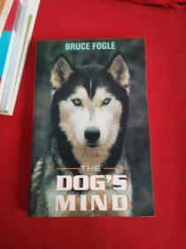 The Dog's Mind