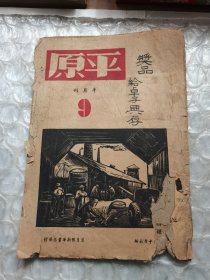 平原半月刊（第9期）看图片避免争议，图为5品