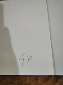 乳腺外科要点与盲点：乳腺外科要点与肓点