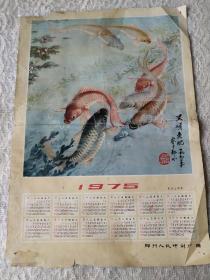 1975年-郑州人民印刷厂赠-年历画《果硕鱼肥》！37/26厘米，品如图