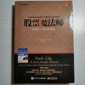 交易大师系列 股票魔法师——纵横天下股市的奥秘