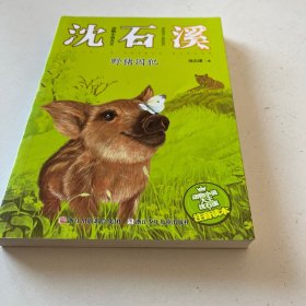 动物小说大王沈石溪·注音读本：野猪囚犯