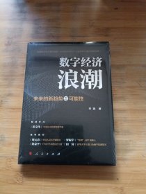 数字经济浪潮——未来的新趋势与可能性