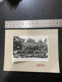 六十年代上海小学师生合影于上海桂林公园老照片