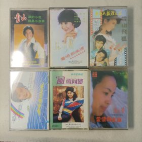 经典老歌磁带:5盒合售《台湾电视连续剧歌曲精选》+《苏小明独唱歌曲选》+《风雪同路朱明君独唱》+《杨维恩独唱专辑》+《青山泪的小花》+《马太萱—印度最新摇滚歌曲（已售）》