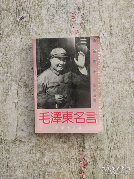 毛泽东名言钢笔书法