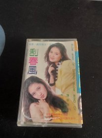 《刮春风》老磁带，WG-022，韦唯，朱桦，范琳琳演唱，文化艺术出版社出版