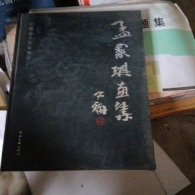 孟宪琪画集（书皮少损不影响阅读）