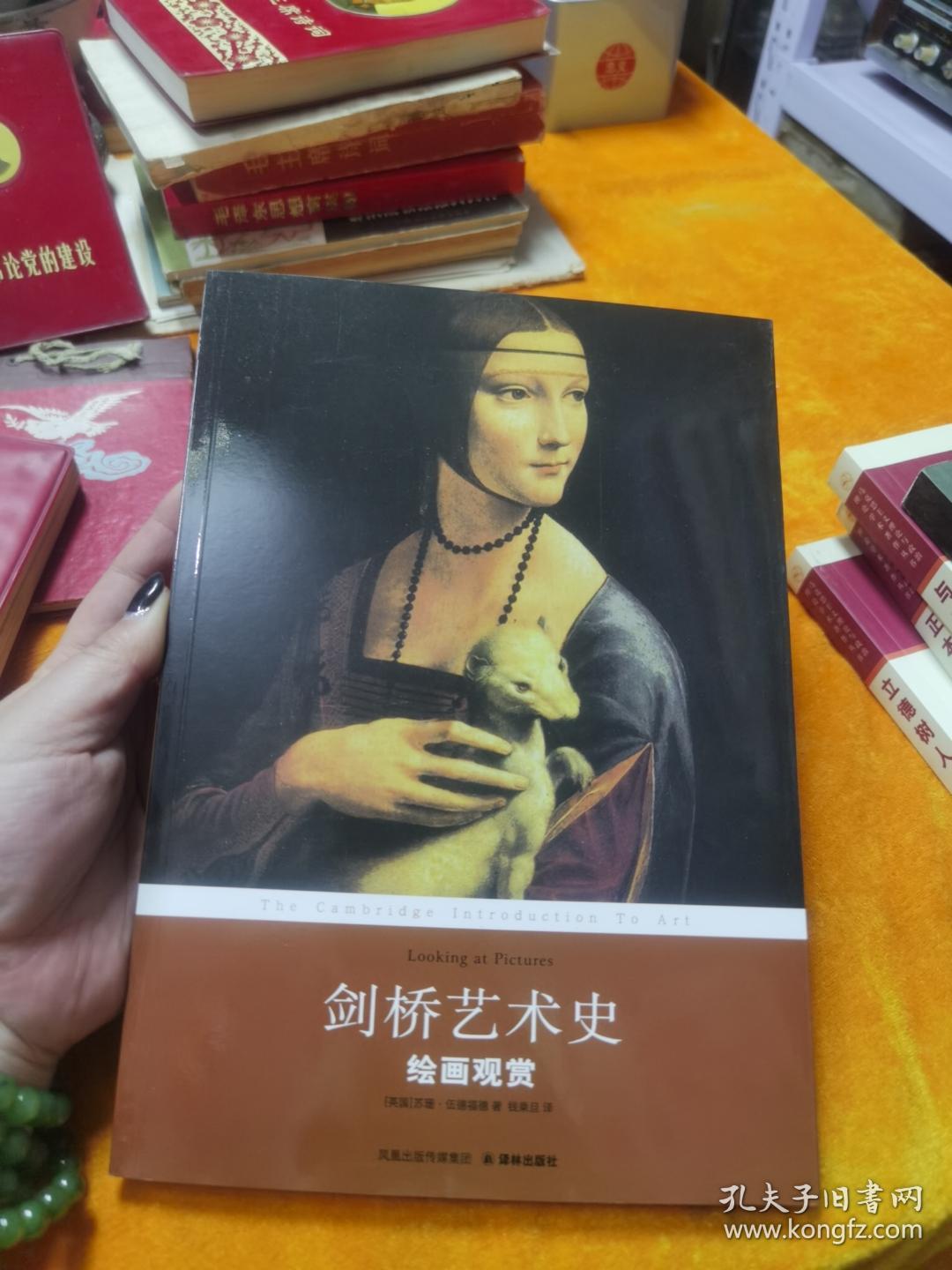 剑桥艺术史-绘画观赏