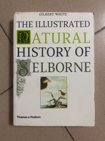 The Illustrated Natural History of Selborne，塞耳彭自然史，吉尔伯特·怀特作品，英文原版