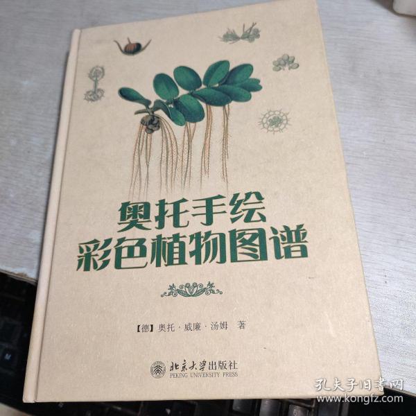 奥托手绘彩色植物图谱