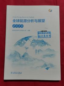 全球能源分析与展望 2020