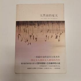 天黑前的夏天：新经典文库348；莱辛作品01