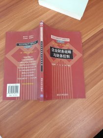 企业财务战略与财务控制——前沿实用经济与管理丛书·会计系列